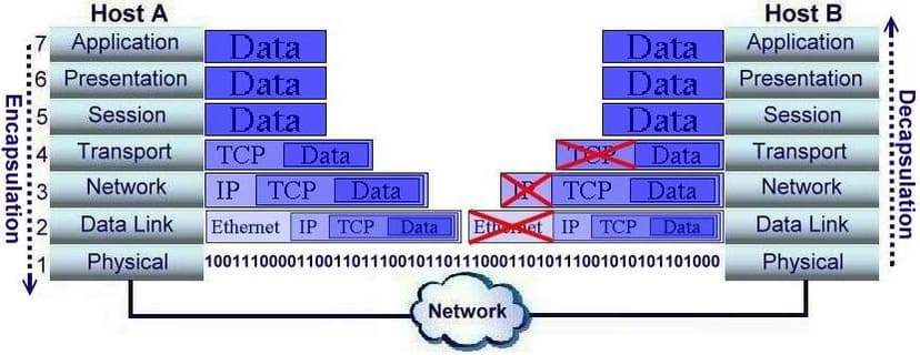 OSI Model